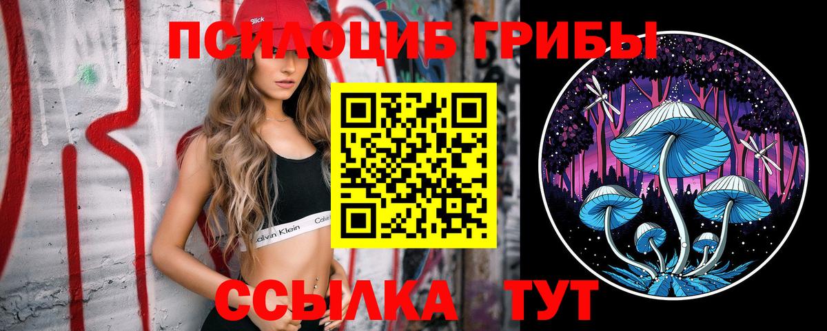 Псилоцибиновые грибы Psilocybe Тавда